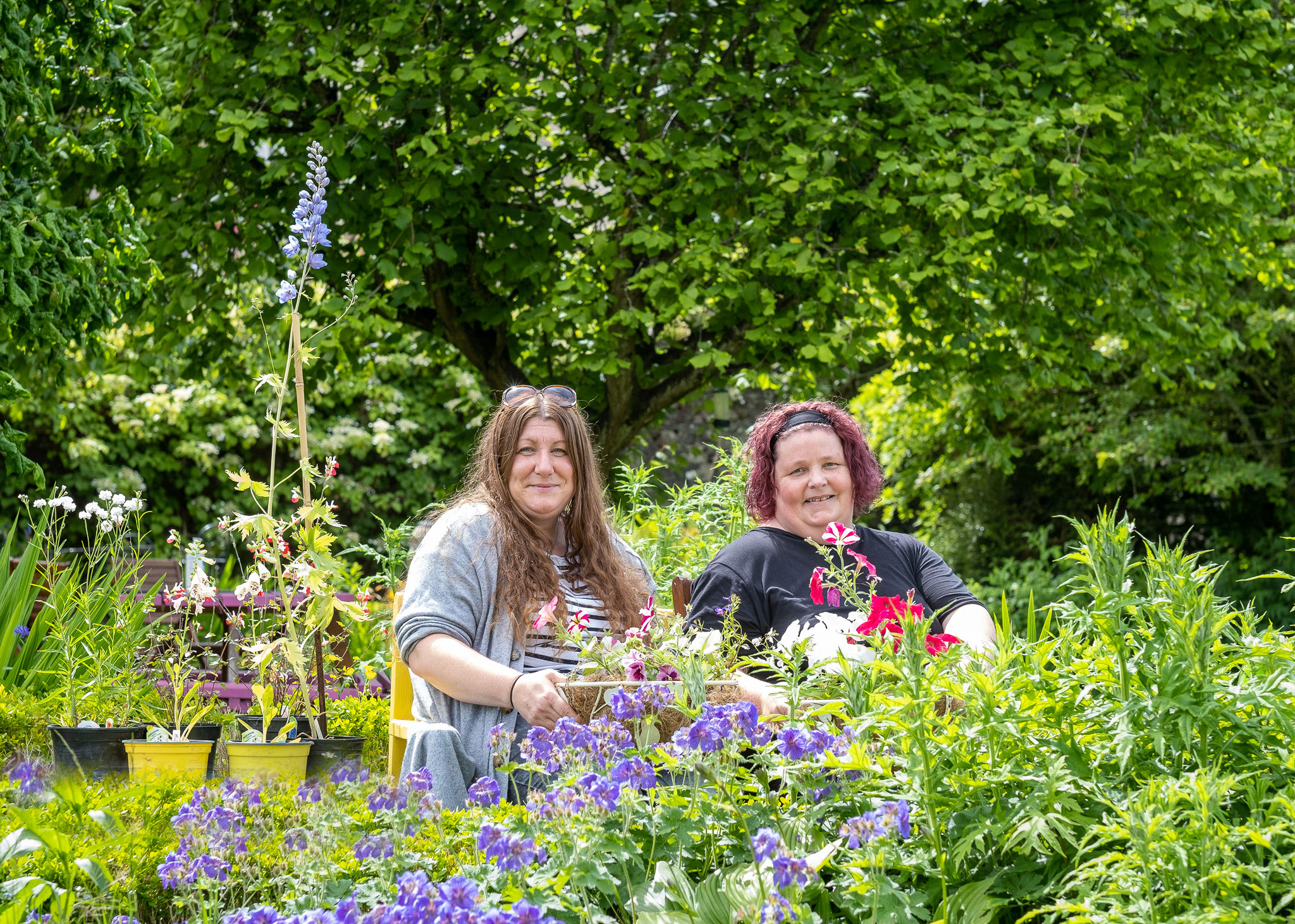 Press Image featuring PKAVS Mental Health and Wellbeing Hub at Walled Garden for the Perth and Kinross Mental Health and Wellbeing Festival